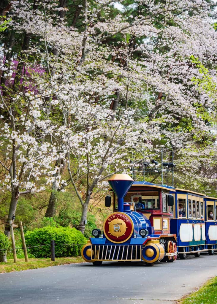 Die Bahn im Hamamatsu Flower Park.