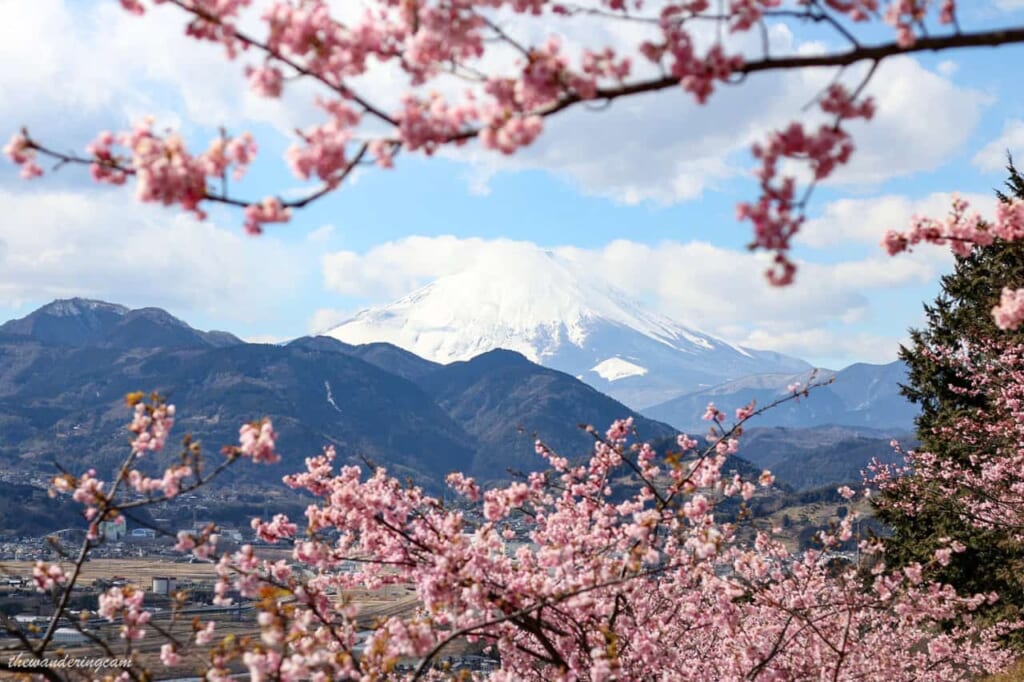 Blick auf den Berg Fuji vom Nishihira Park. 