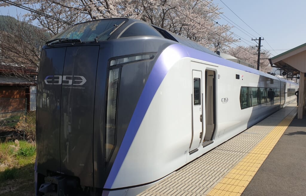 Tokyo Wide Pass: Expresszug nach Kawaguchiko.