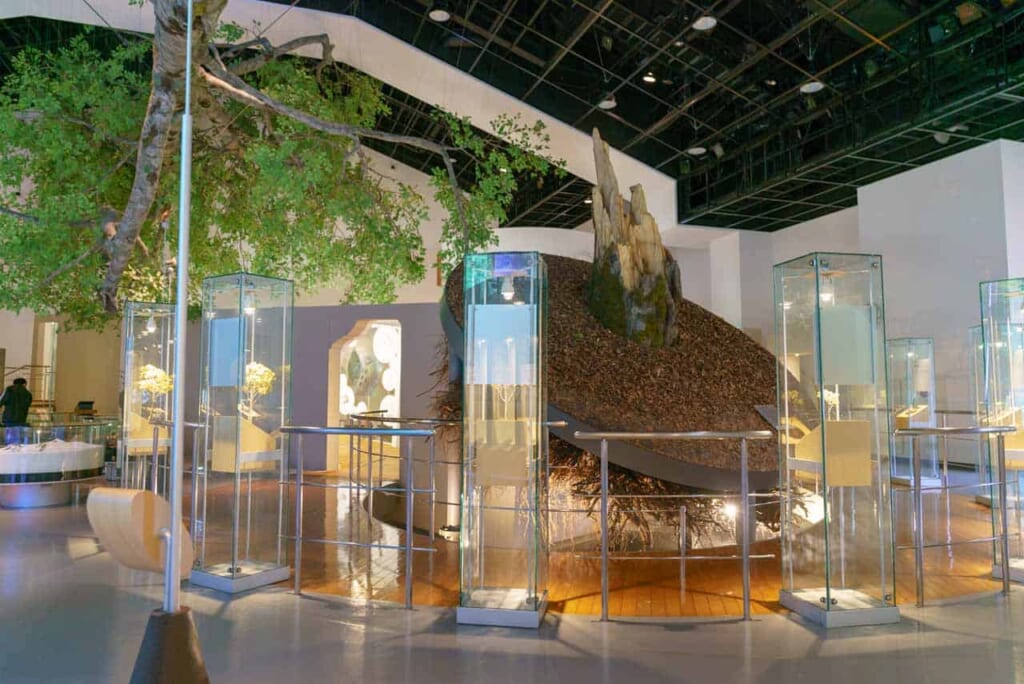 Das Shirakami-Sanchi Visitor Center.