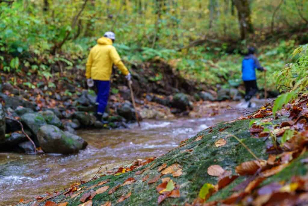 Bachlauf in der Bergregion von Aomori und Akita, Japan.