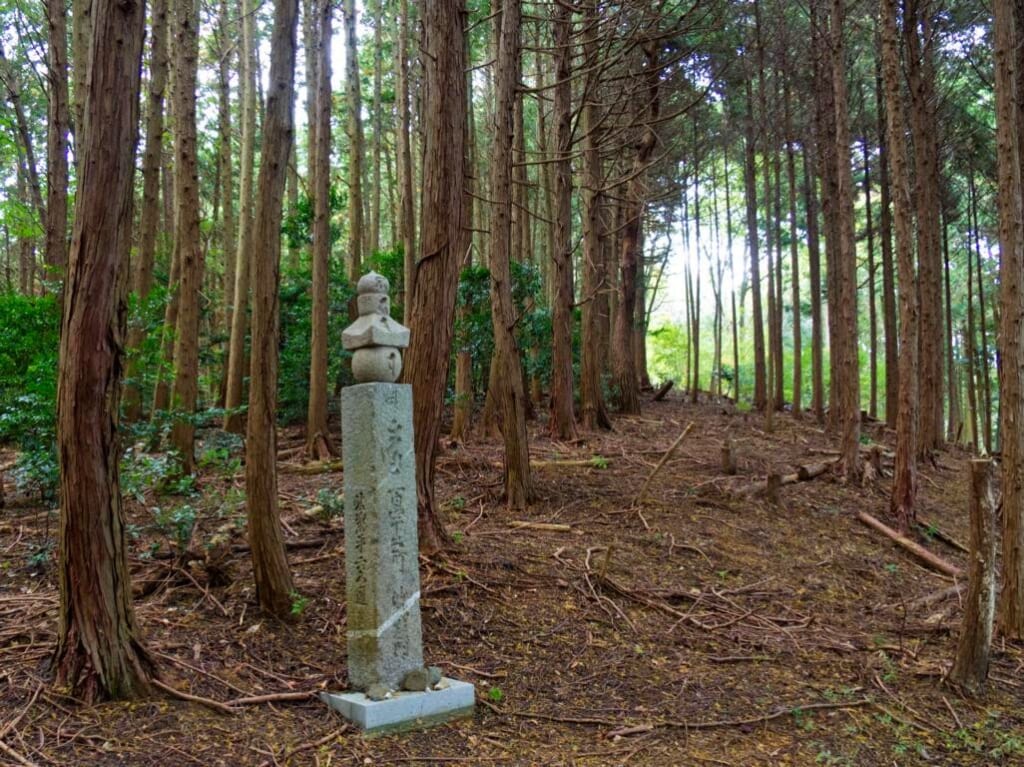 Steinsäule im Wald zum Koyasan.