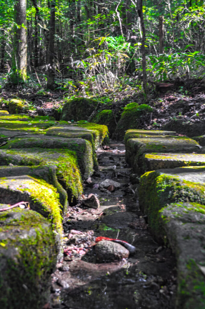 Kleiner Bachlauf in Nakatsugawa, Japan.