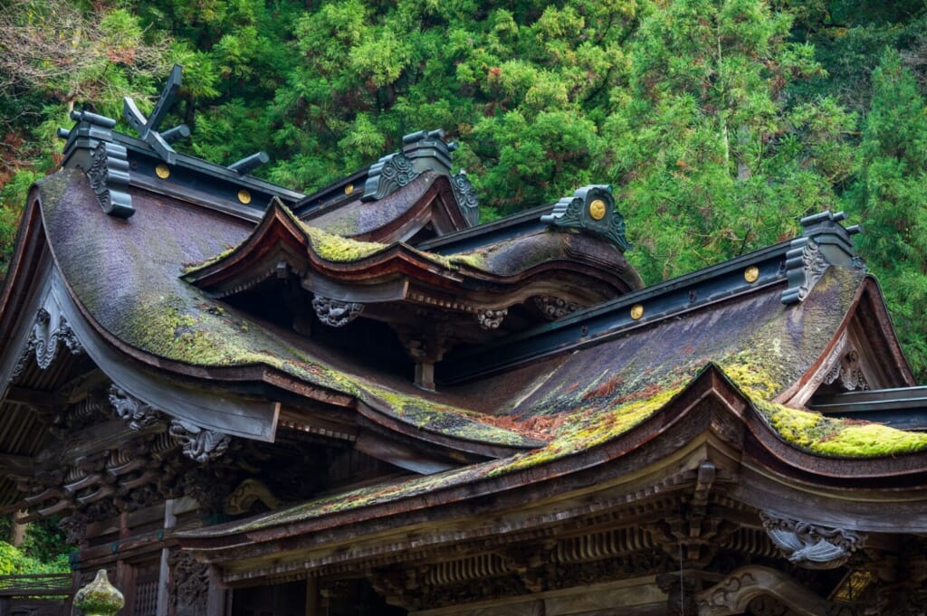 Schreindach mit Moos bewachsen in Japan.