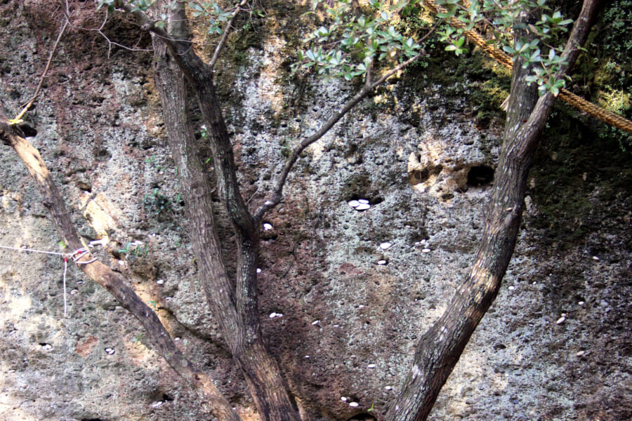 Der Fels in dem Izanami leben soll.