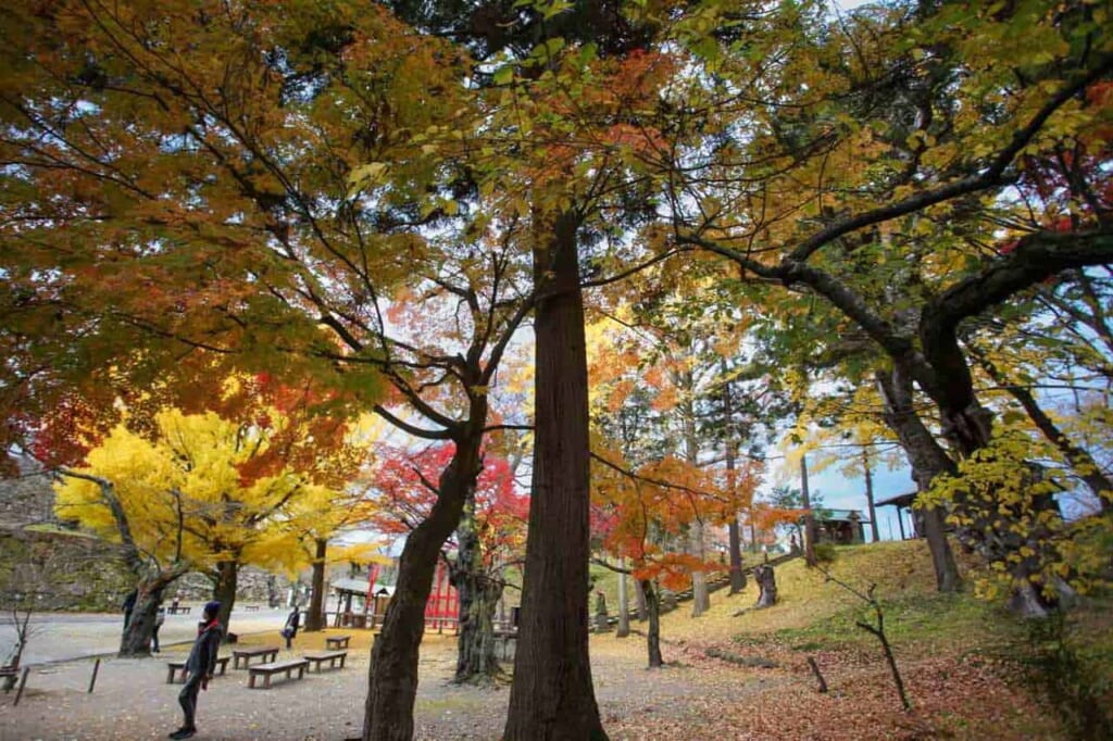 Koyo-TZeit in Japan, Tsuruga Burgpark.