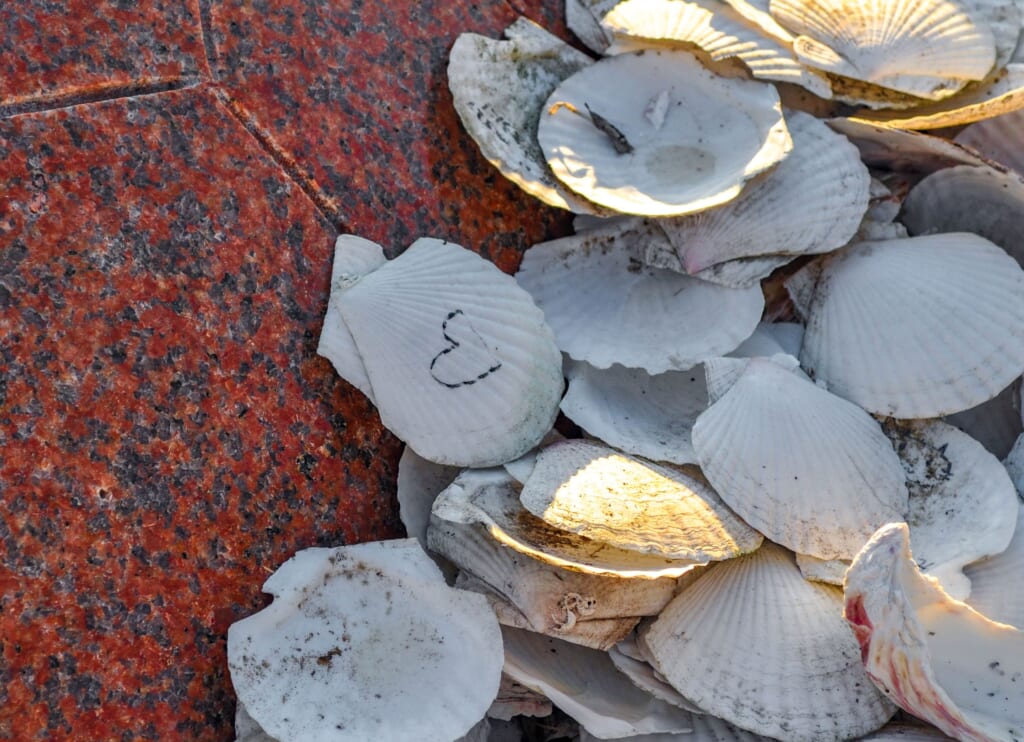 Muscheln mit aufgeschriebenen Wünschen.