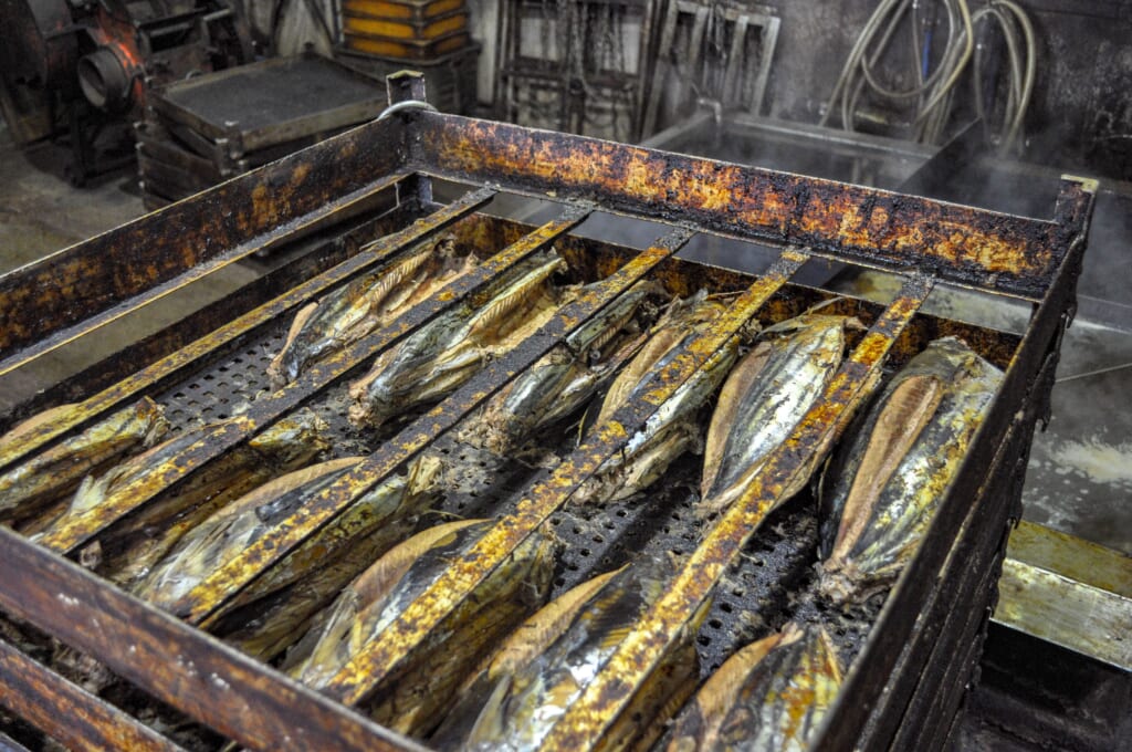 Bonito-Fisch aus Japan.