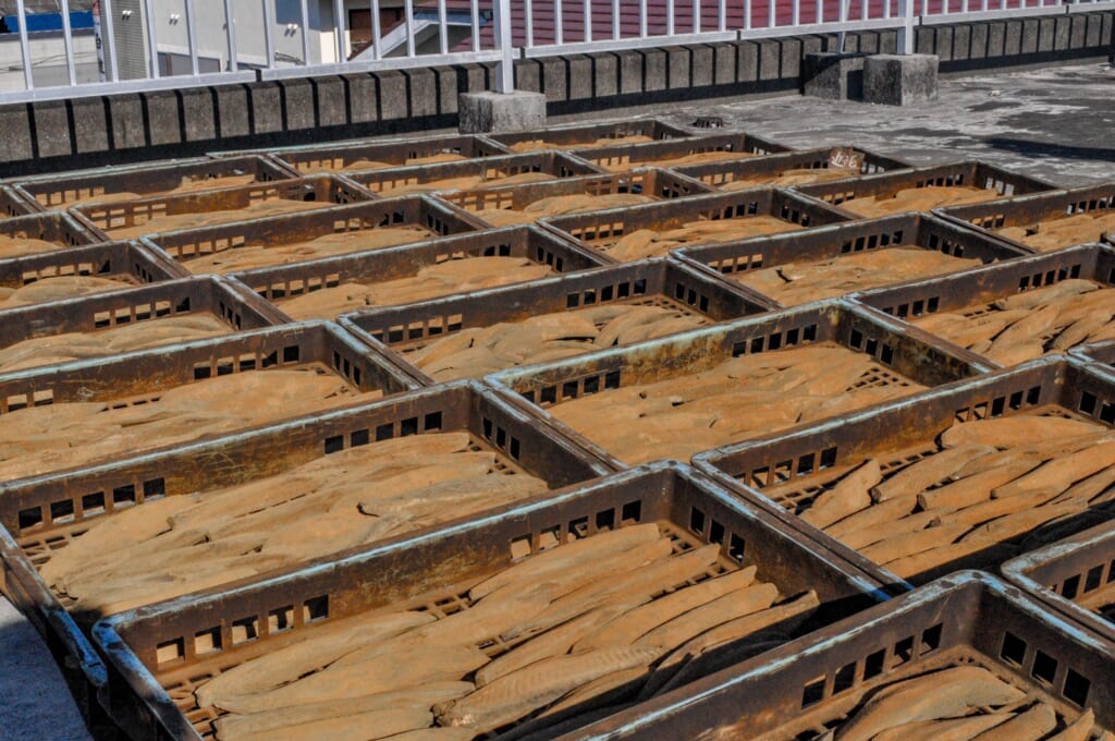 Bonito trocknet in der Sonne.