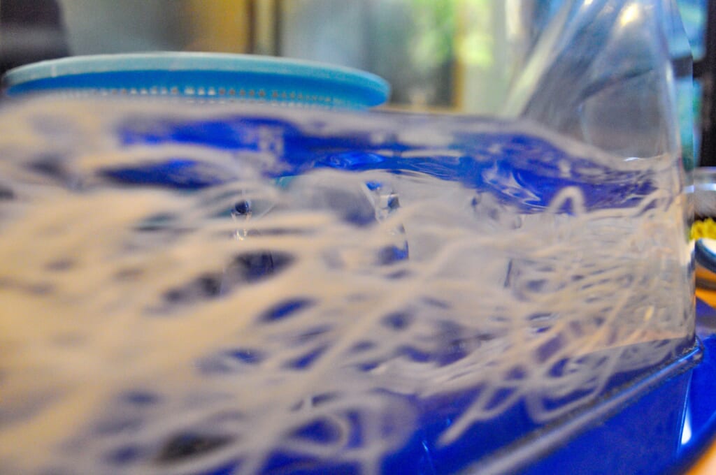 Nagashi-Somen im Wasserstrudel.