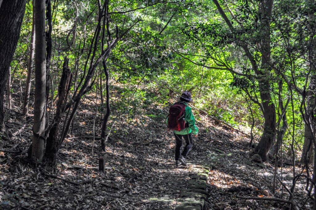 Der Kirishima-Kinkowan-Nationalpark.
