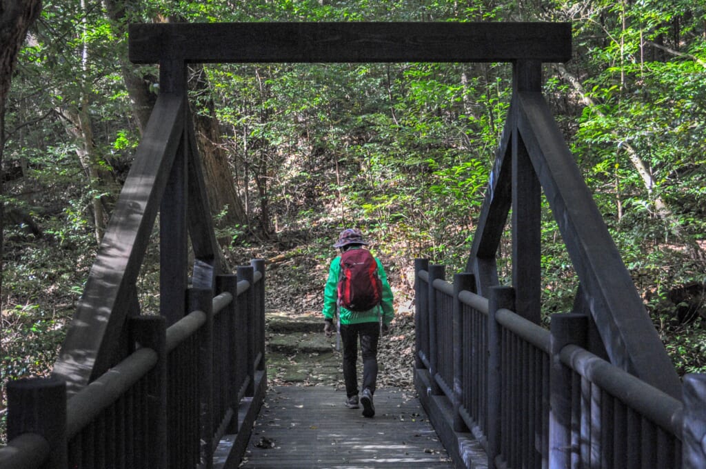 Brücke auf dem Maruo Trail in Kirishima.