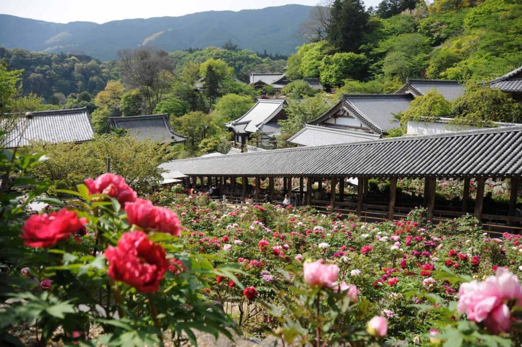Der Hasedera Tempel in Nara.
