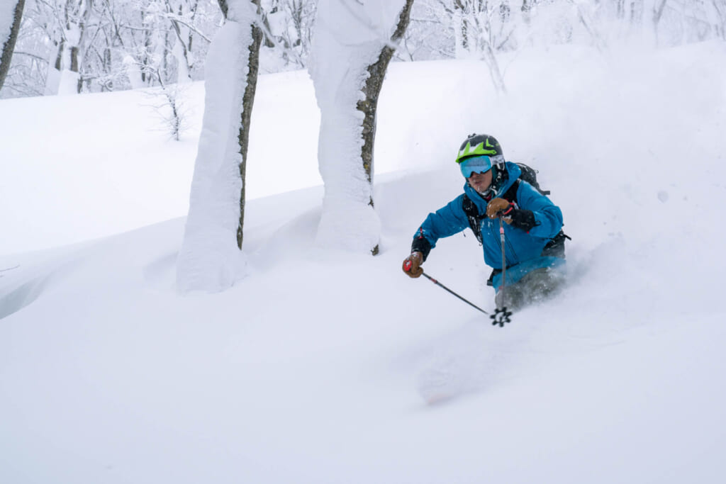 Skifahren im Pulverschnee in Japan, im Toawada-Hachimantai-Nationalpark.