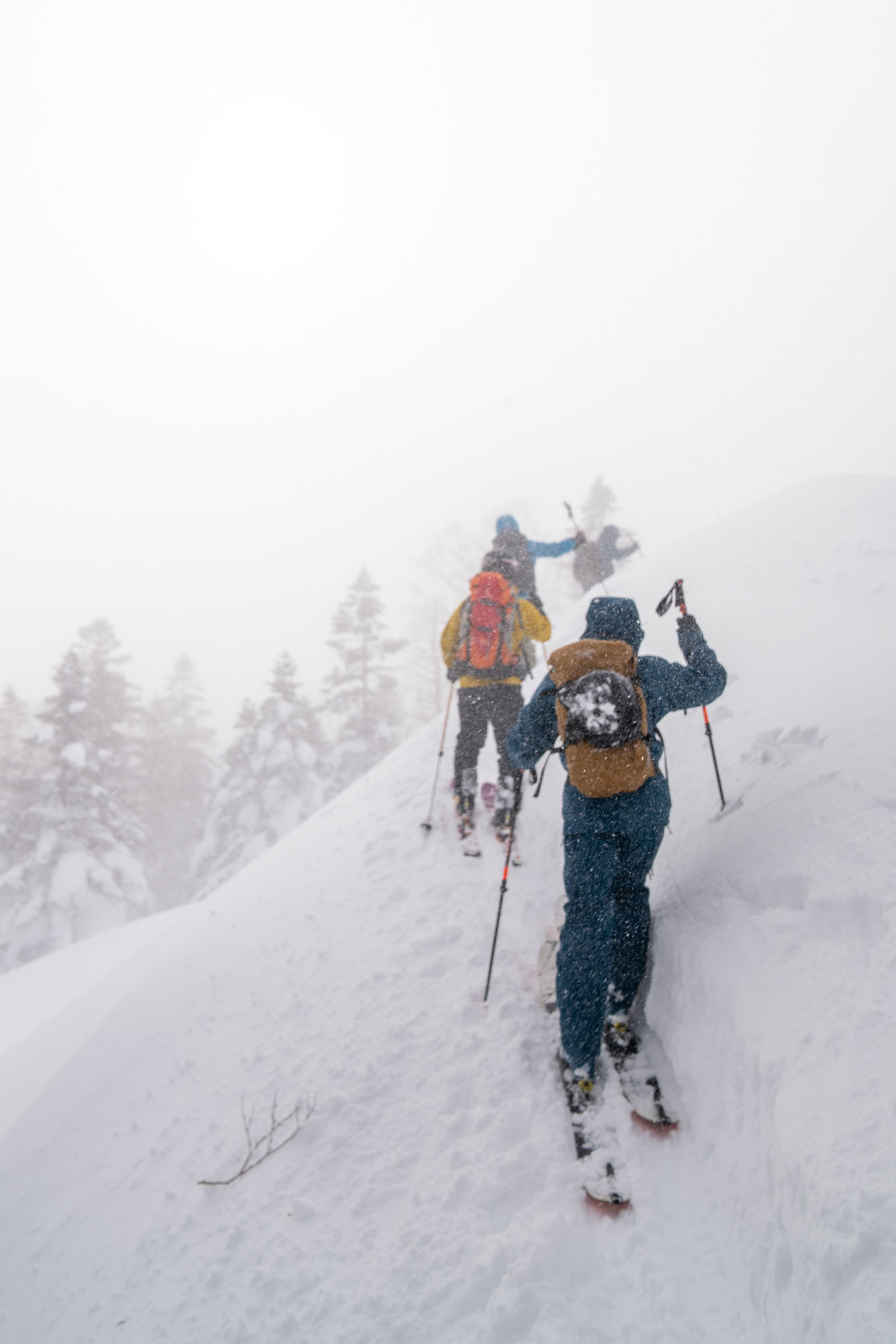 Skifahren im japanischen Pulverschnee.