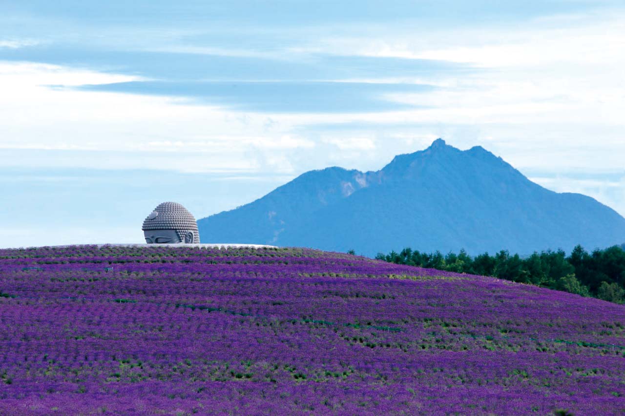Blumen und der Kopf der Buddha-Statue in Japan.