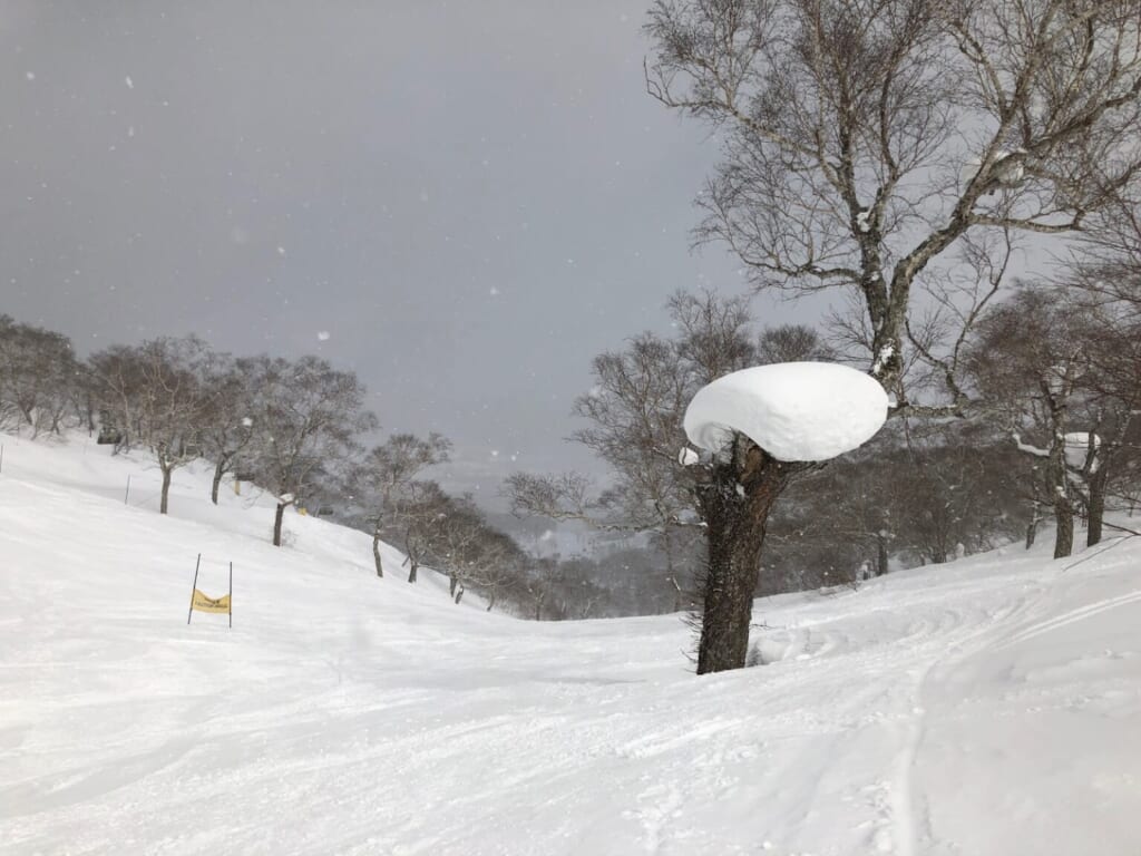 Das Skigebiet Niseko Annupuri in Hokkaido.
