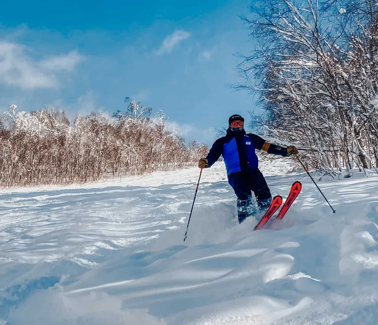 Skifahren in Hokkaido im Pulverschnee.
