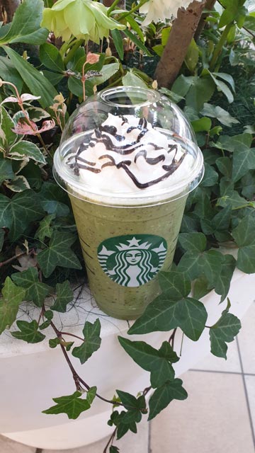 Matcha-Frappuccino von Starbucks.