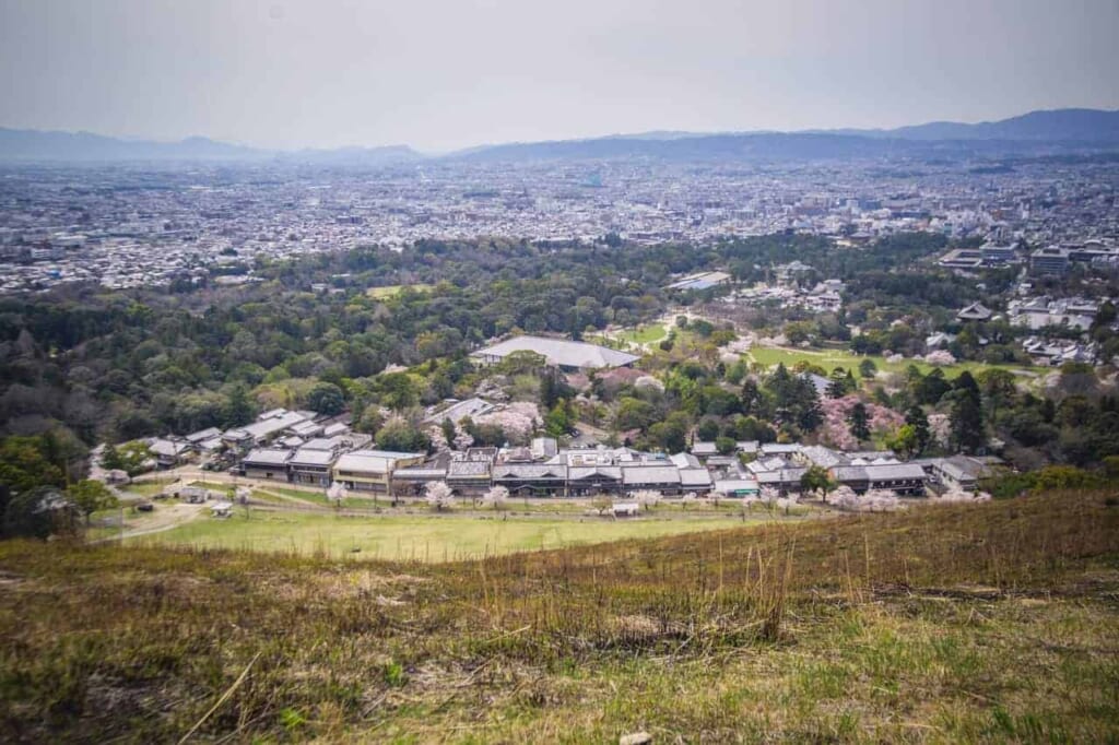 Panoramablick auf die Stadt Nara.