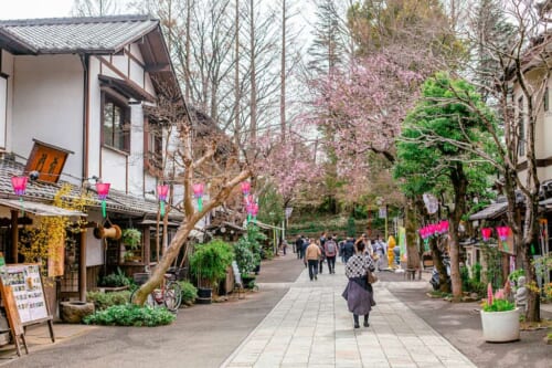 Haupteinkaufsstraße vom Jindaiji-Tempel.