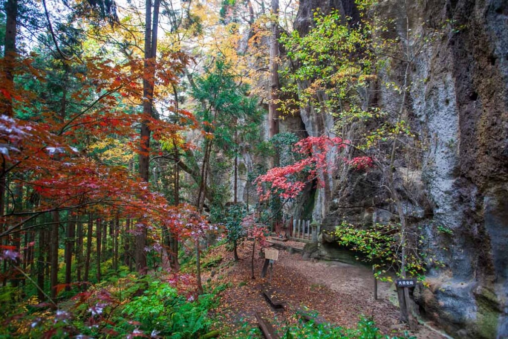 Herbstfarben entlang einer Klippe in Yamagata, Japan