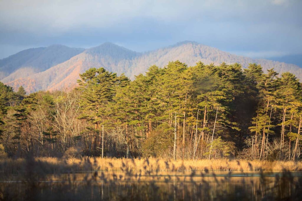 Nebelige Berglandschaft in Fukushima, Japan
