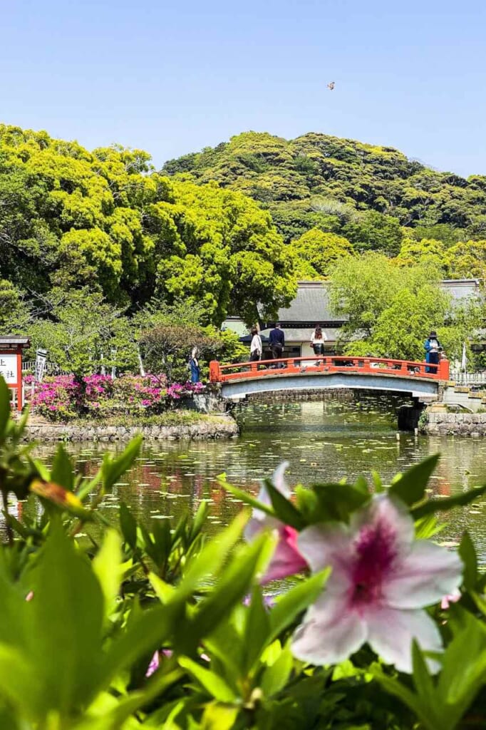 Teich beim Tsurugaoka-Hachimangu in Kamakura