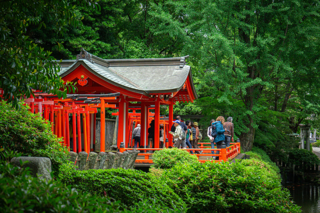 Torii-Tore am Nezu-Schrein in Tokio