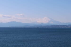 Le Perle di Enoshima: Pesce, Mare e Monte Fuji