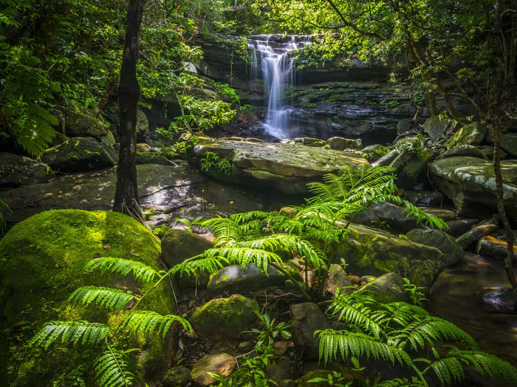 Paesaggio naturale a Okinawa