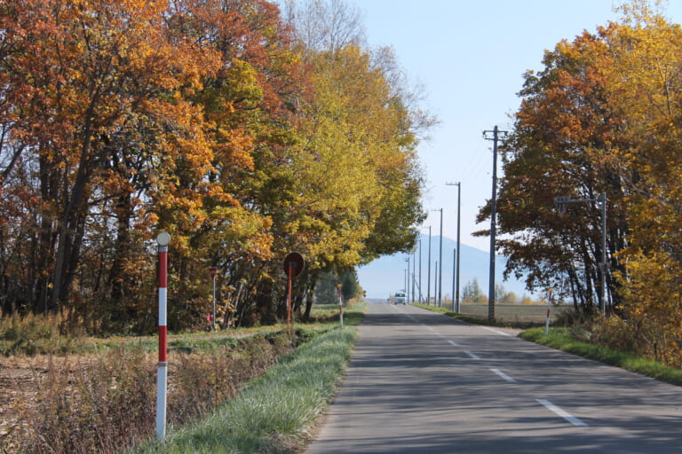 Alla Scoperta della Natura e dei Colori Autunnali di Koshimizu-cho, Hokkaido Orientale