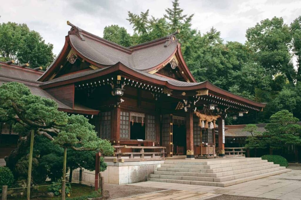 Le Differenze tra Santuari Shinto e Templi Buddhisti in Giappone